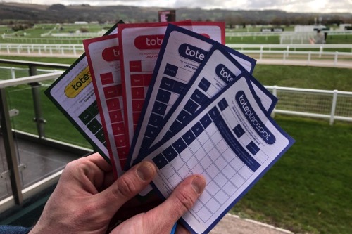 Toteplacepot cards at the Cheltenham Festival