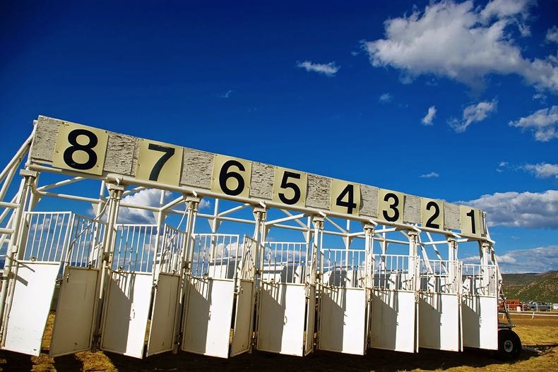 Horse racing starting gate