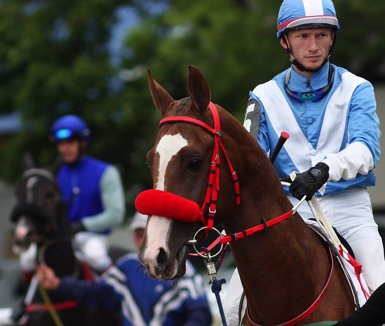 Jockey