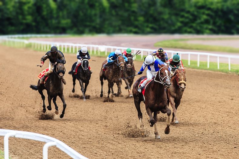 Horse race finish line