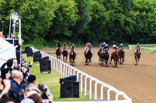 Horse racing finish line