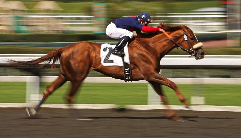 Horse racing home stretch