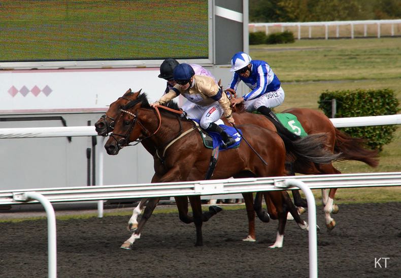 An all weather course