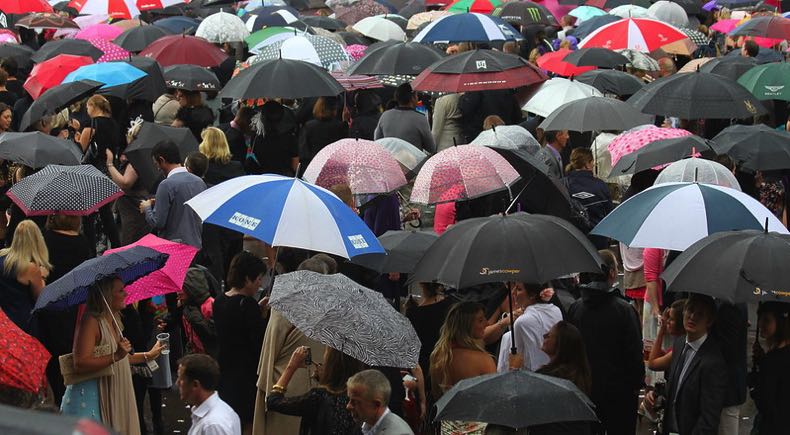Umbrellas up at a race meeting