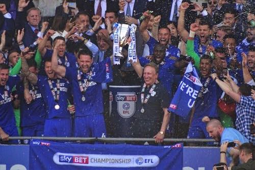 Cardiff City 2017-18