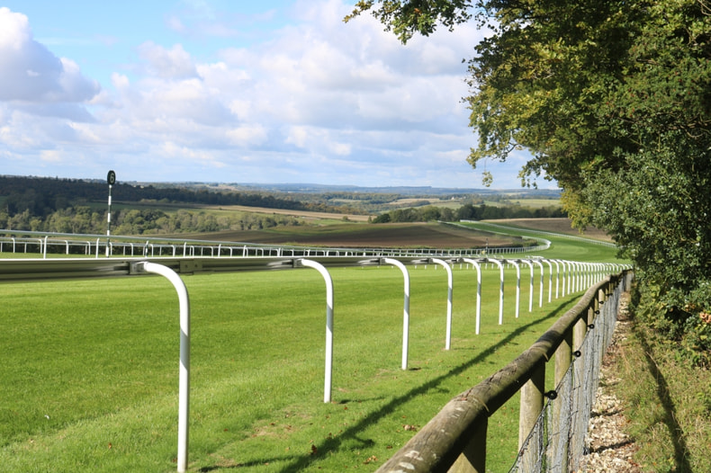 Goodwood racecourse