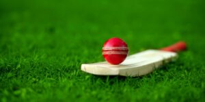 Red Cricket Ball and Bat on Grass