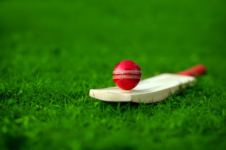 Red Cricket Ball and Bat on Grass