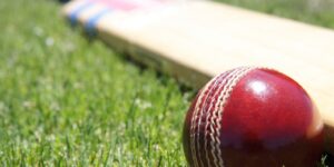 Red Leather Cricket Ball with Bat on Grass